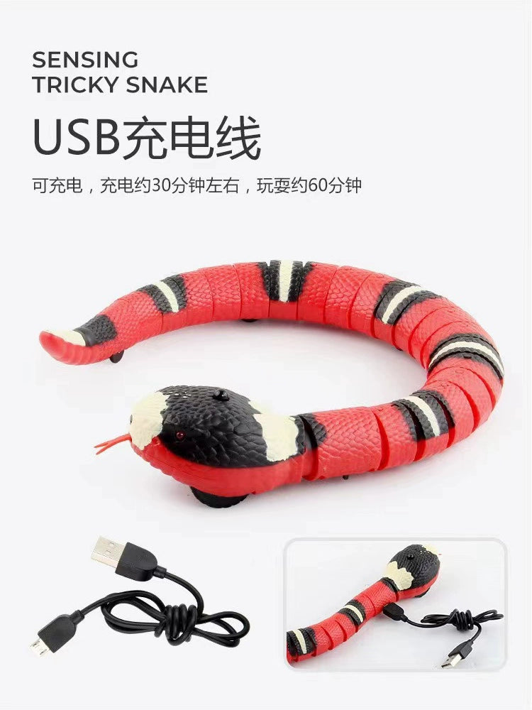 Cat Toy Snake Cat Electric Smart Funny Cat Sensor Snake Self-Hi Relieving Stuffy Handy Gadget Cat Cat All Products Funny Cat Snake