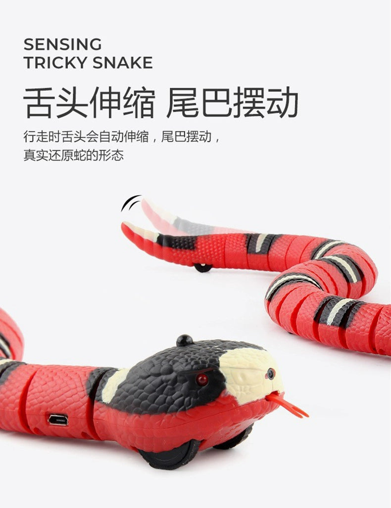 Cat Toy Snake Cat Electric Smart Funny Cat Sensor Snake Self-Hi Relieving Stuffy Handy Gadget Cat Cat All Products Funny Cat Snake