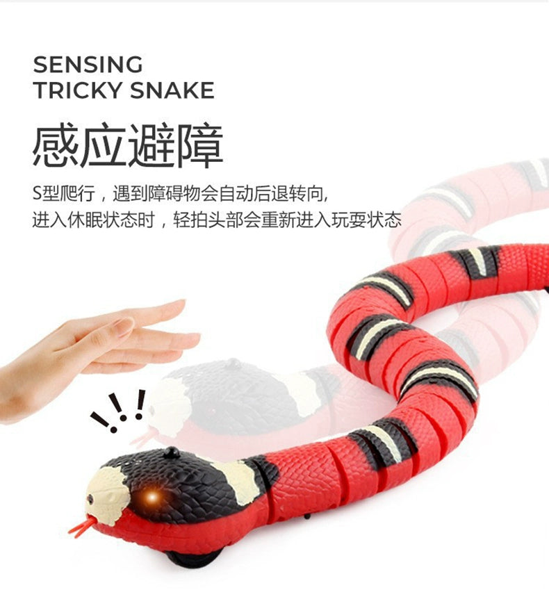 Cat Toy Snake Cat Electric Smart Funny Cat Sensor Snake Self-Hi Relieving Stuffy Handy Gadget Cat Cat All Products Funny Cat Snake