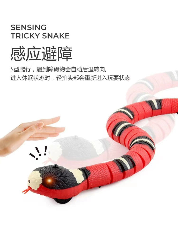 Cat Toy Snake Cat Electric Smart Funny Cat Sensor Snake Self-Hi Relieving Stuffy Handy Gadget Cat Cat All Products Funny Cat Snake