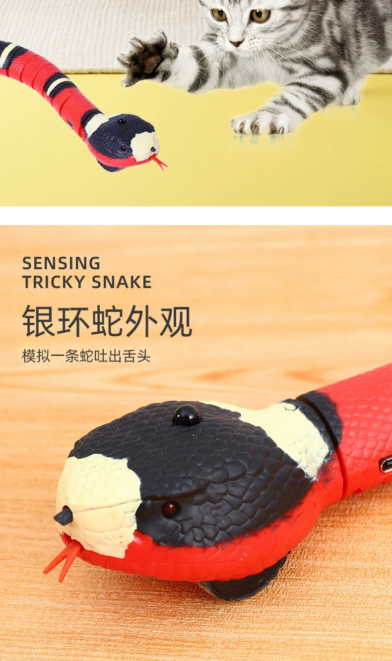 Cat Toy Snake Cat Electric Smart Funny Cat Sensor Snake Self-Hi Relieving Stuffy Handy Gadget Cat Cat All Products Funny Cat Snake