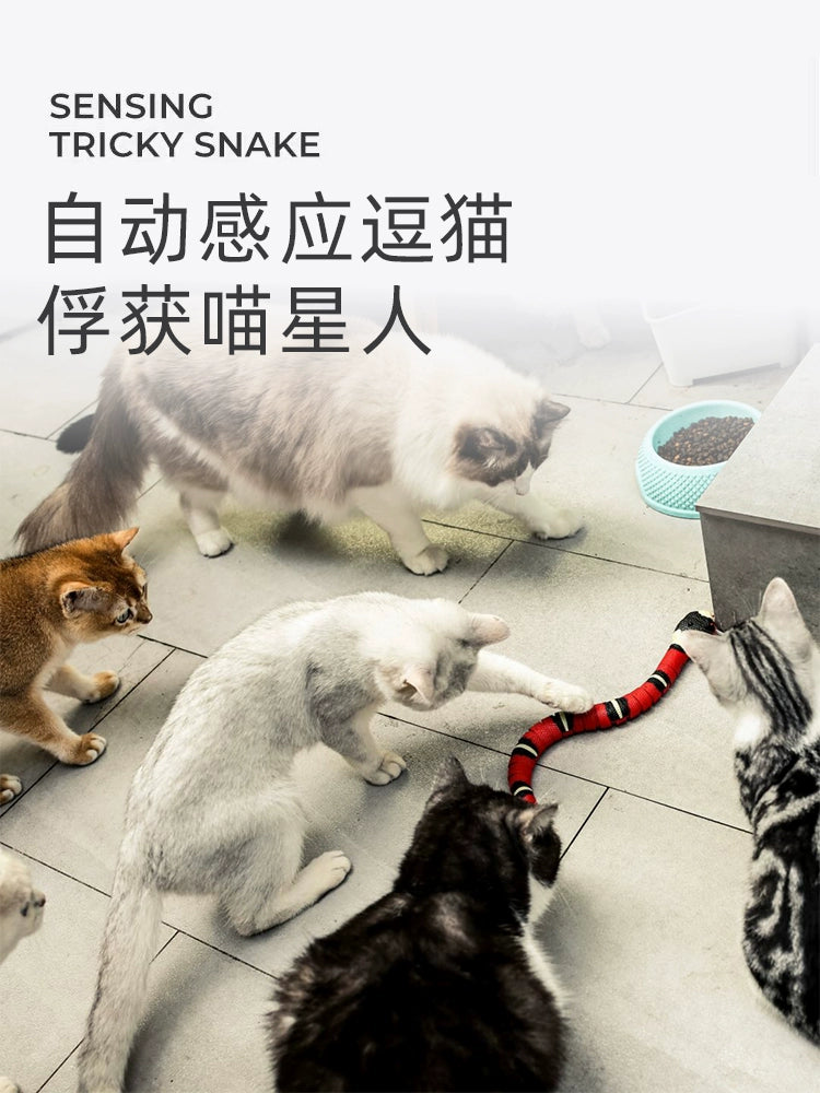 Cat Toy Snake Cat Electric Smart Funny Cat Sensor Snake Self-Hi Relieving Stuffy Handy Gadget Cat Cat All Products Funny Cat Snake